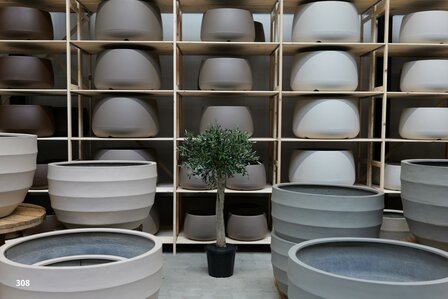 kunstolijfboom nr 308