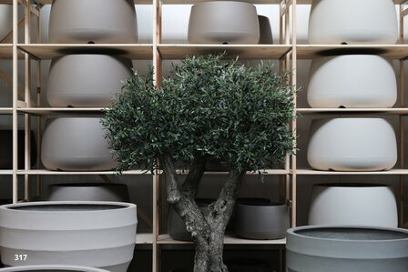  kunstolijfboom 317 kroon