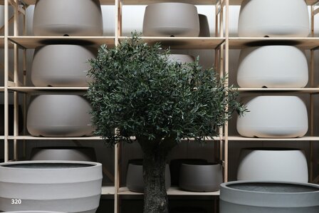 kunstolijfboom 320 kroon