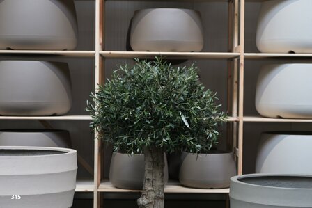 kunstolijfboom 315 kroon