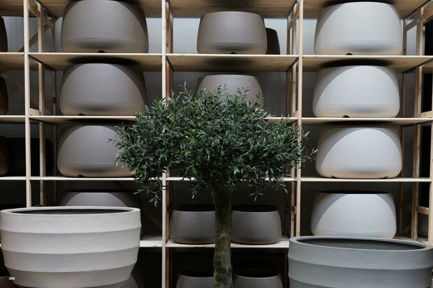 kunstolijfboom nr 300 kroon