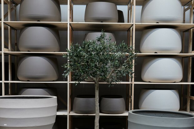 kunstolijfboom nr 305 kroon