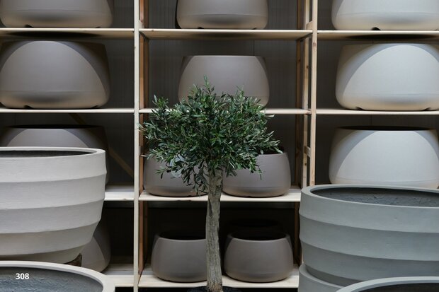 kunstolijfboom nr 308 kroon